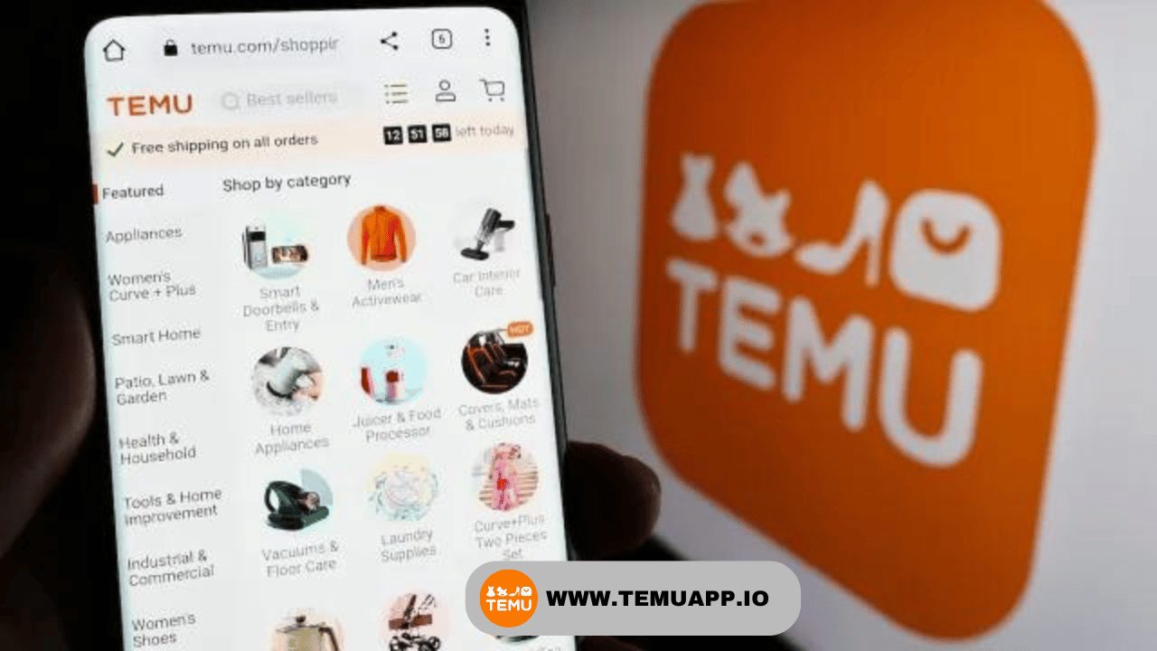 What Someone needs to know before Ordering on Temu