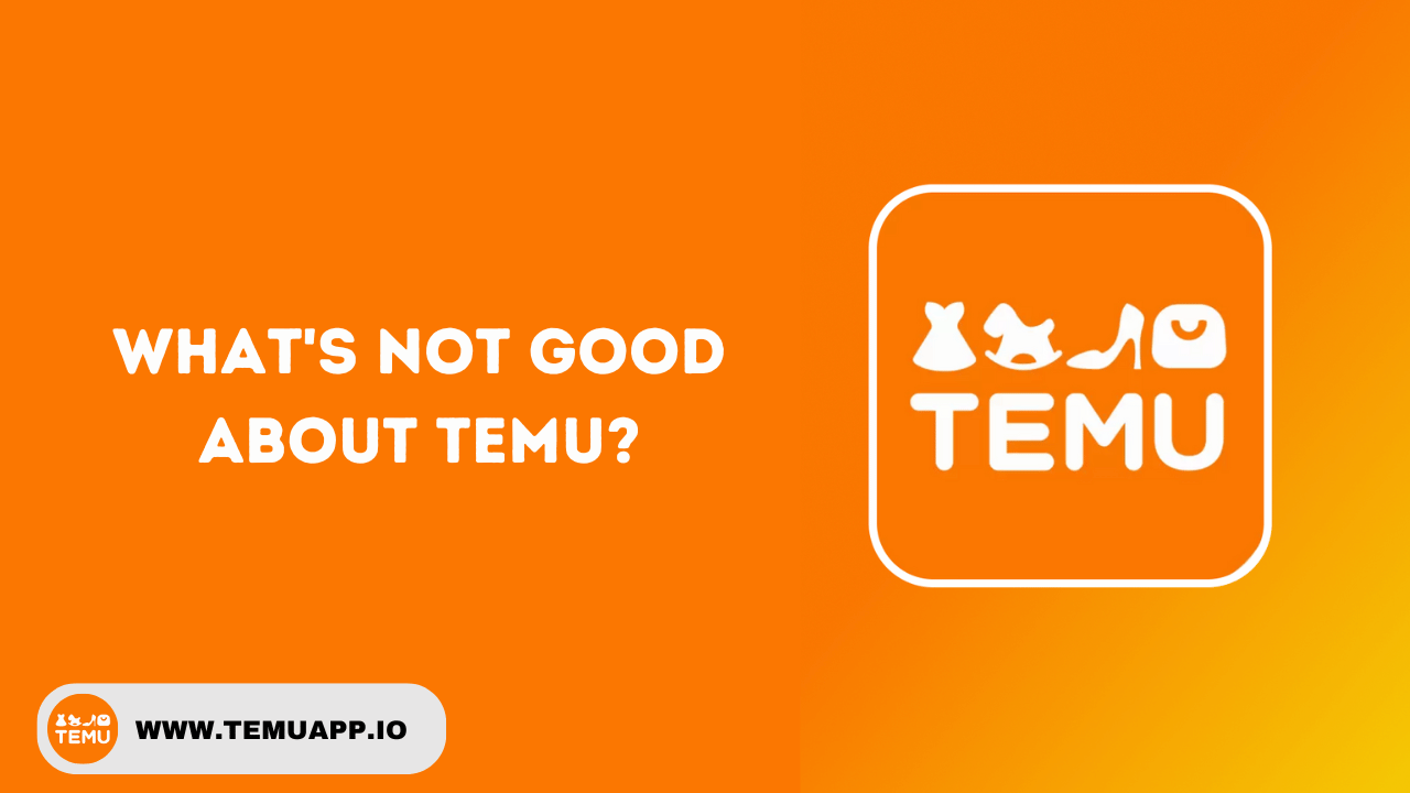 What's Not Good About Temu?
