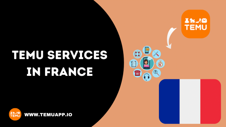 TEMU E-Commerce Services in France