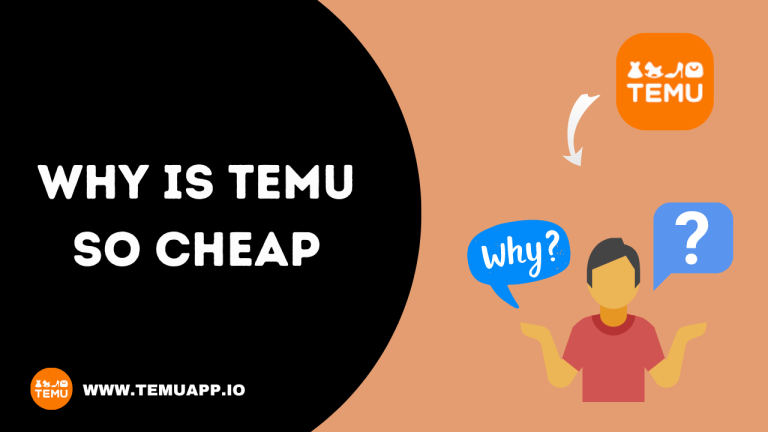 Why Is TEMU So Cheap – Exploring The Facts